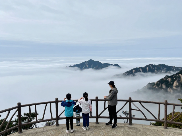 亲子互动体验与自然景观观察