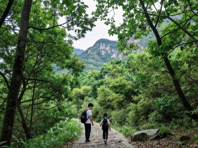 偶遇林间秘境,意外发现比终点更珍贵的风景