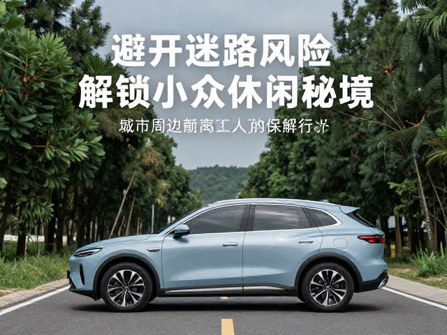 自驾实用贴士:安全与规划的双重保障