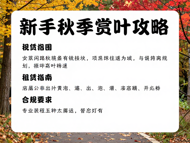 专业装备租赁指南与实用建议