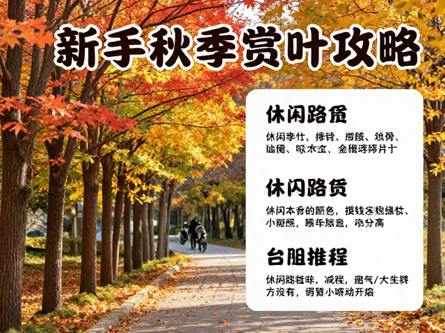 休闲路线推荐与体力分配策略