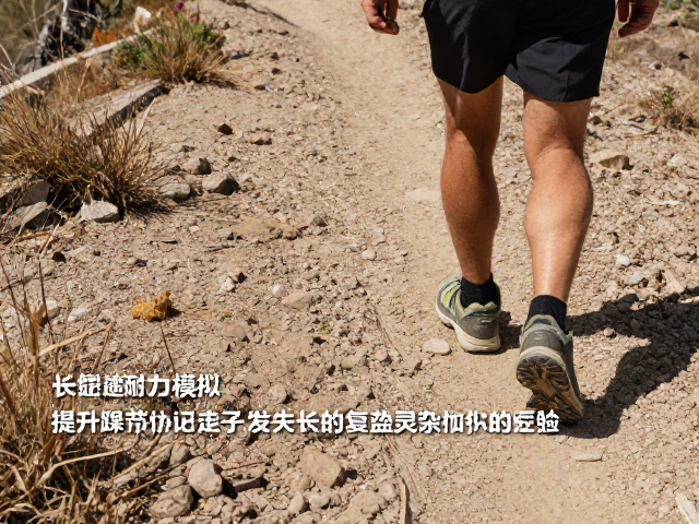 装备选择与地面反馈的协同作用
