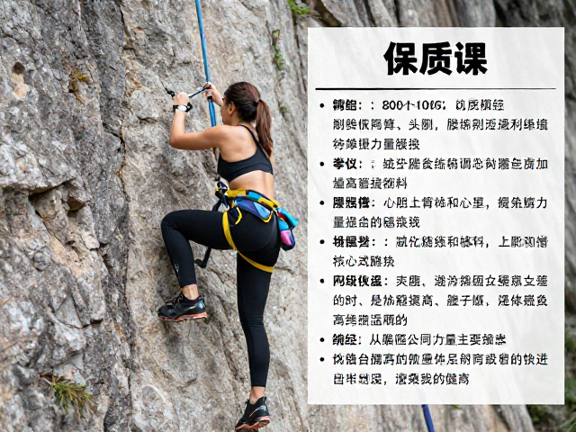训练周期管理与恢复策略