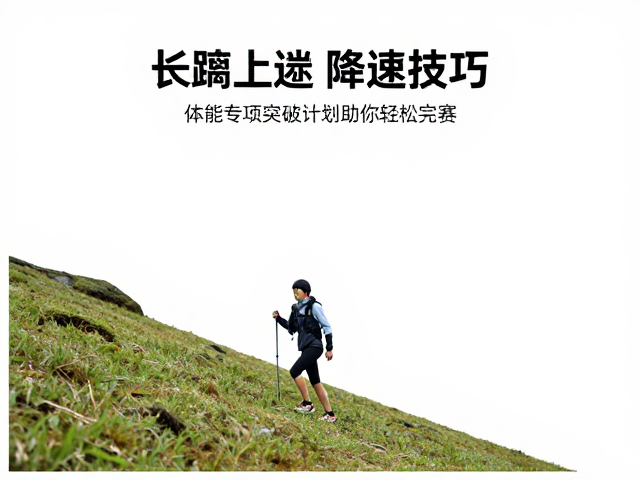 下肢力量强化与核心稳定
