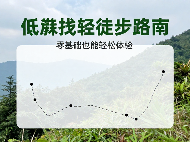 环境保护与安全底线