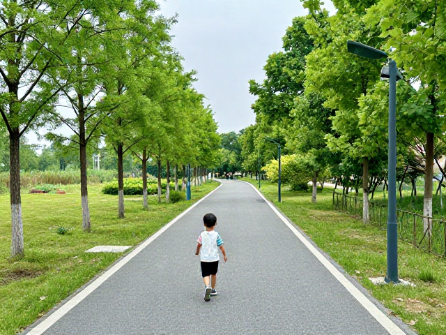 精选慢行路线,兼顾安全性与趣味性