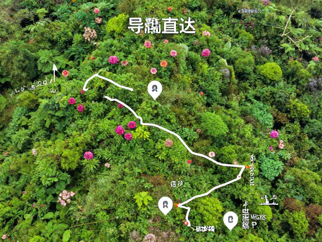 路线规划与入口指引