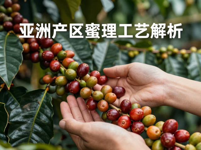 云南咖啡的地理天赋与风土基础