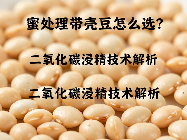 感官特征与风味表现的关联