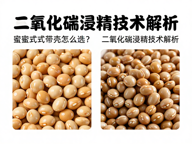 储存环境与长期品质维护