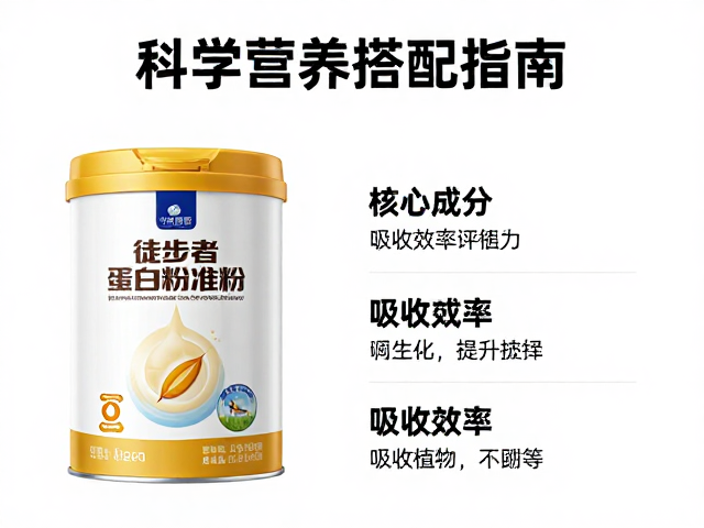 核心成分与吸收效率评估