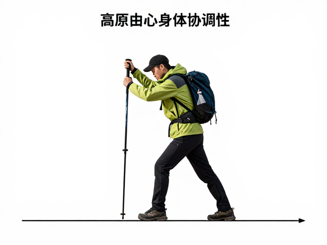 高原登山杖使用技巧，提升身体协调性，高效适应高海拔环境