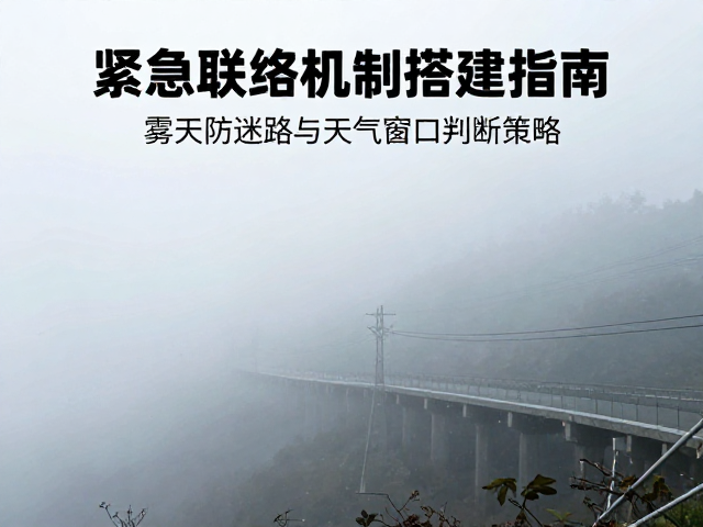 紧急联络机制搭建指南