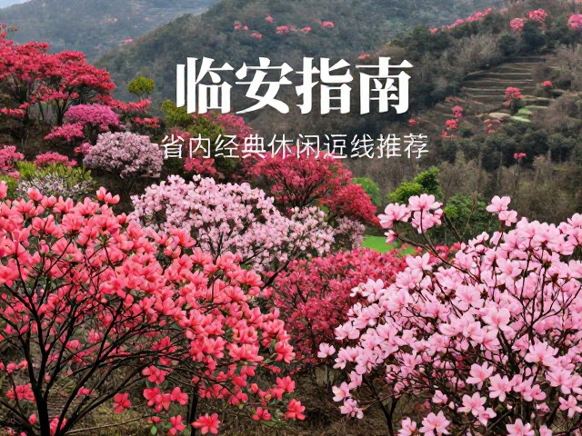 浙西山水间的杜鹃秘境:临安指南