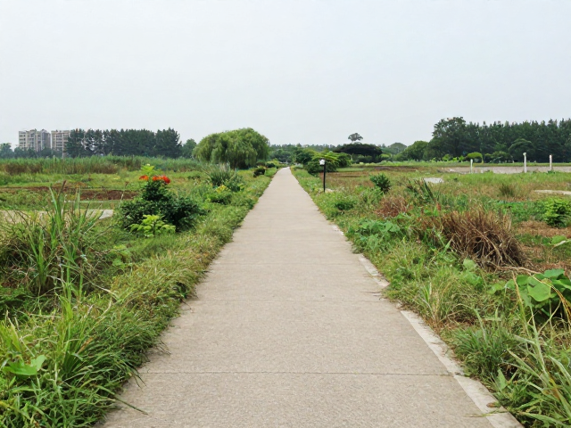 城市园林与郊野公园的平缓路线