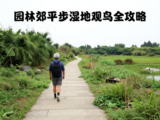 实用信息与应急处理预案