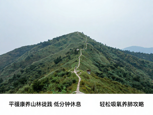 选择平缓山林路线的核心逻辑