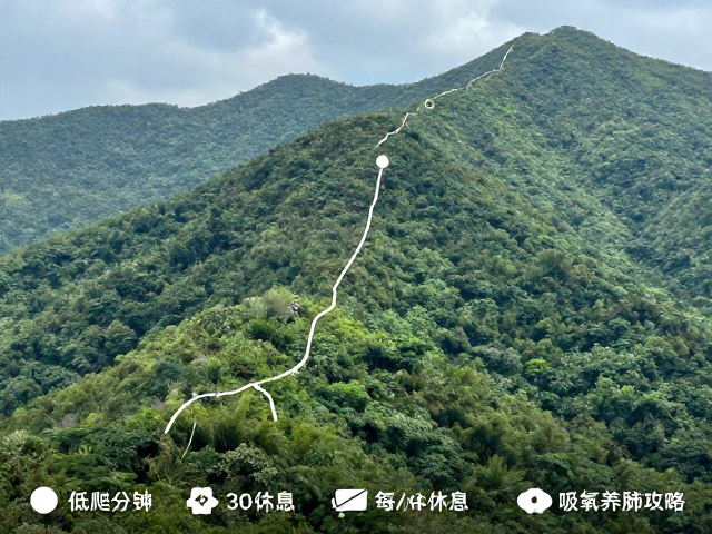 路线特征与地形分析