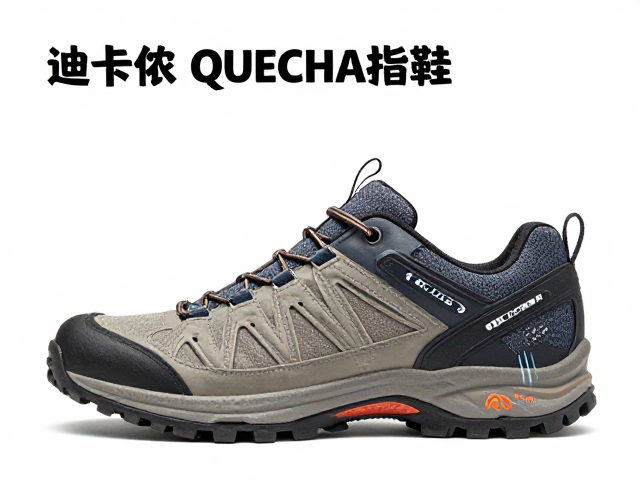核心缓震与支撑组件的技术解析