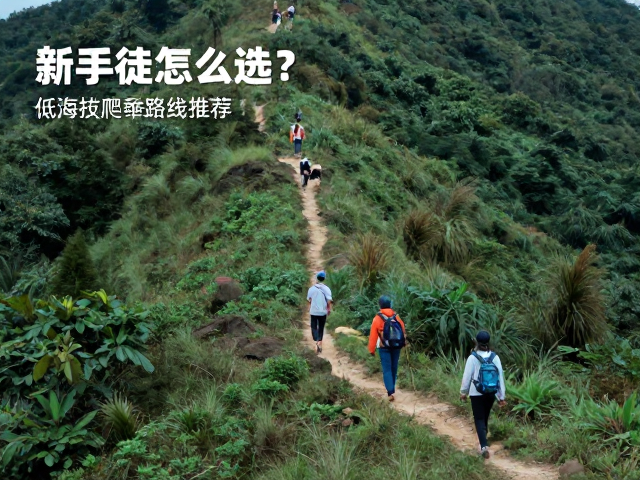 新手徒步怎么选？低海拔爬升路线推荐，适合耐力一般的青少年学生