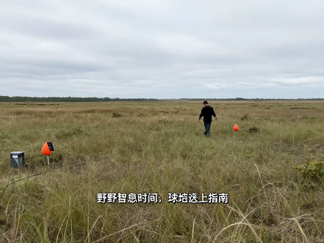 综合应对与等待策略