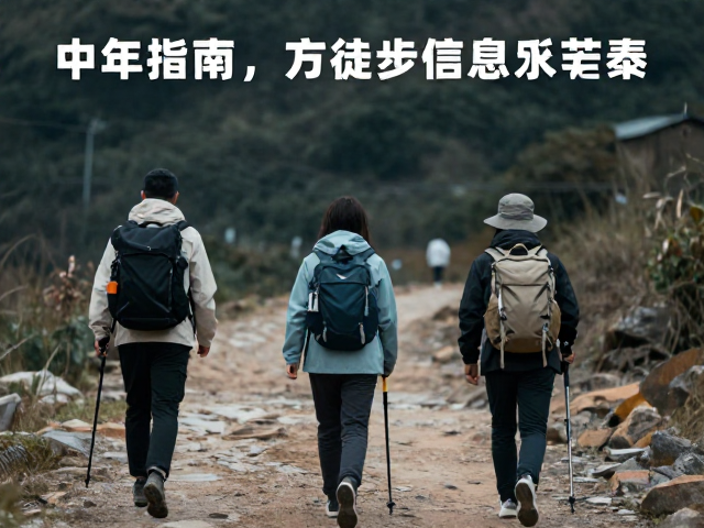 动态节奏控制与体能分配策略