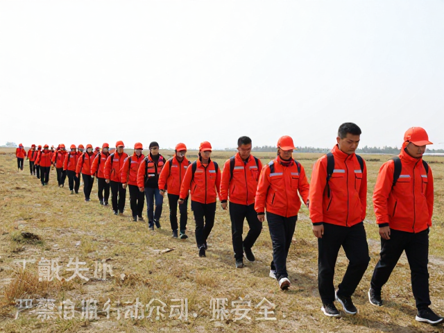 团队协作与安全意识重塑