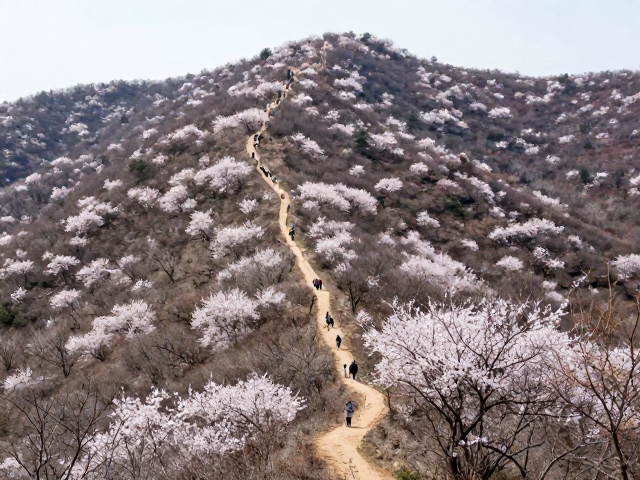 路线选择标准与地形特征分析
