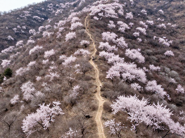 春季山林缓坡徒步的自然魅力与生态优势