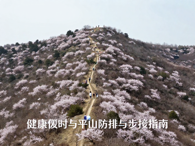行前准备与个人防护要点