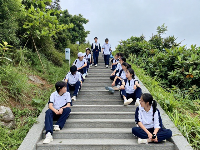 场景化内容植入与教育互动