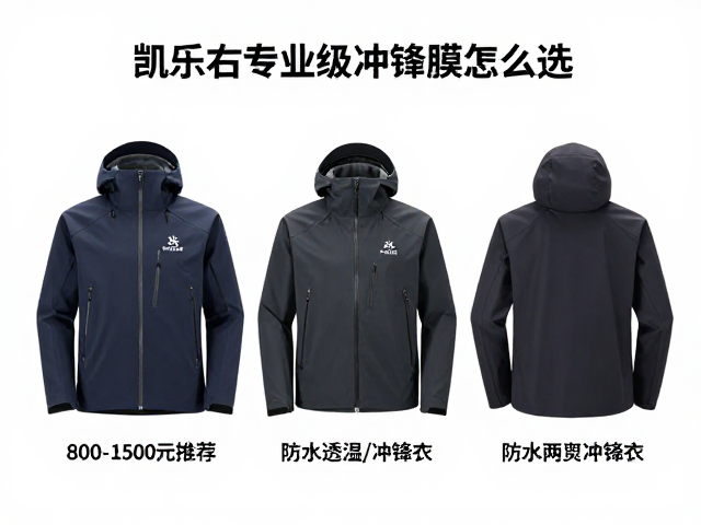 款式功能与场景适配策略