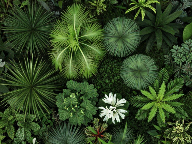 敬畏自然:重新审视人类与野生植物的从属关系