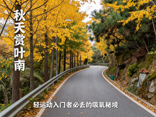 城市边缘的绿肺:近郊步道的生态价值与休闲定位
