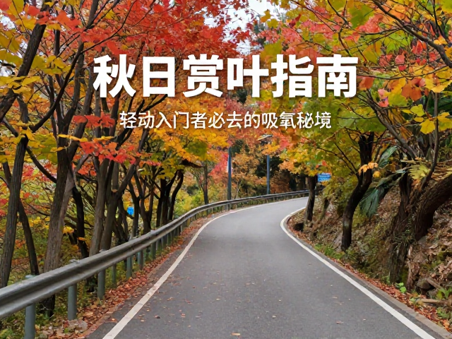 轻运动入门指南:科学规划与体能匹配