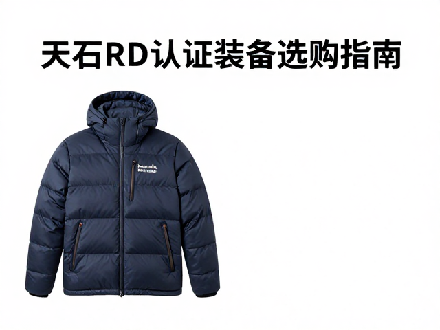 环保理念与可持续消费趋势