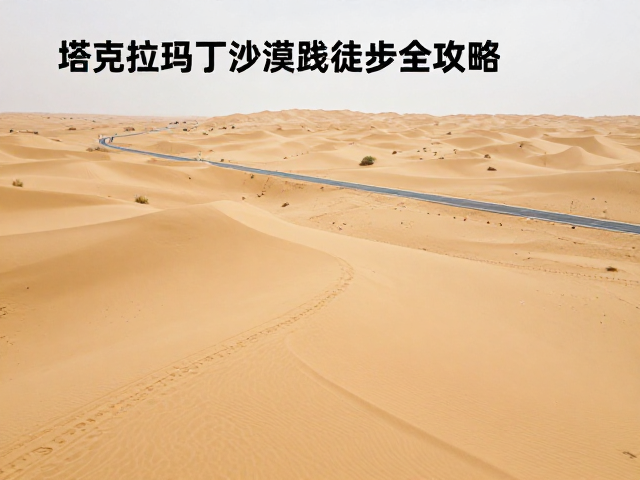 沙漠徒步路线推荐，摄影自然主题与沿途补给点全攻略