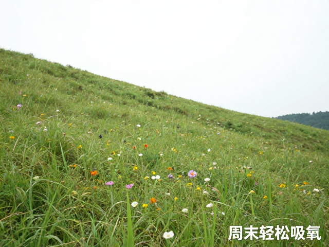 实用出行指南,确保安全舒适的徒步体验