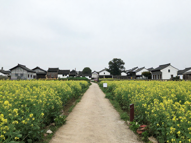 徒步路线关键节点与景观特色