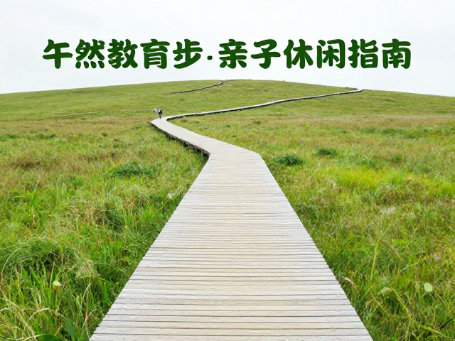 实用行前准备与装备建议