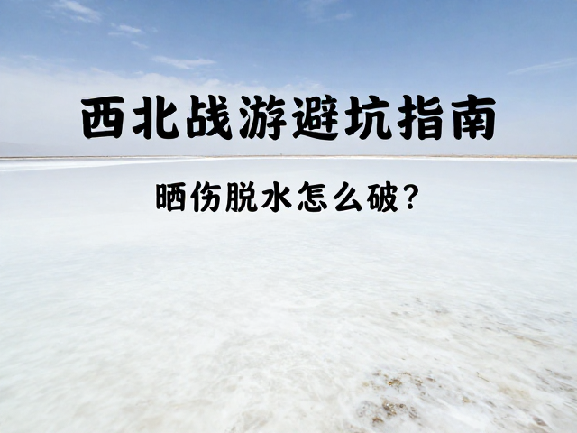 西北长线游的高原反应与极端气候应对