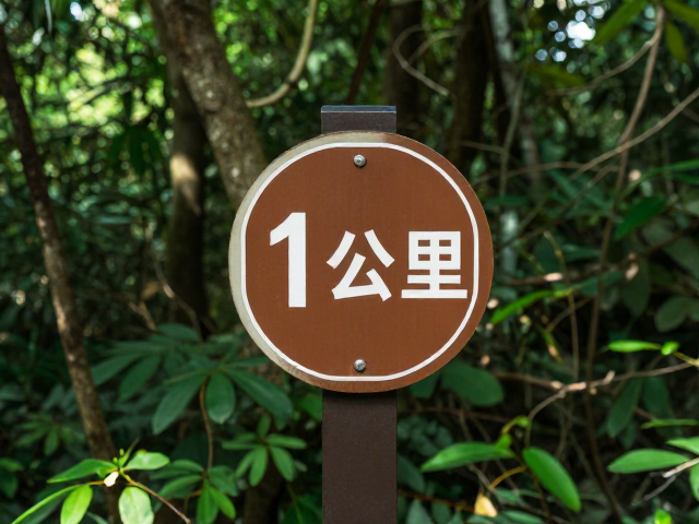 近郊低海拔山林徒步，1公里标识完善体验线，新手友好打卡地