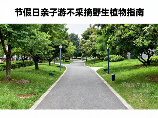 城市公园平缓徒步线推荐，节假日亲子游不采摘野生植物指南