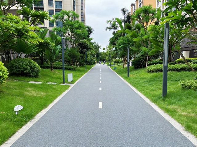 城市绿道:连接亲子互动的自然课堂