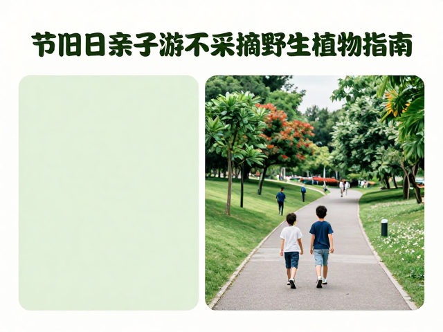 节假日亲子互动的场景化体验