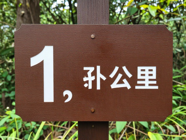 新手友好与打卡体验:轻松互动的自然课堂