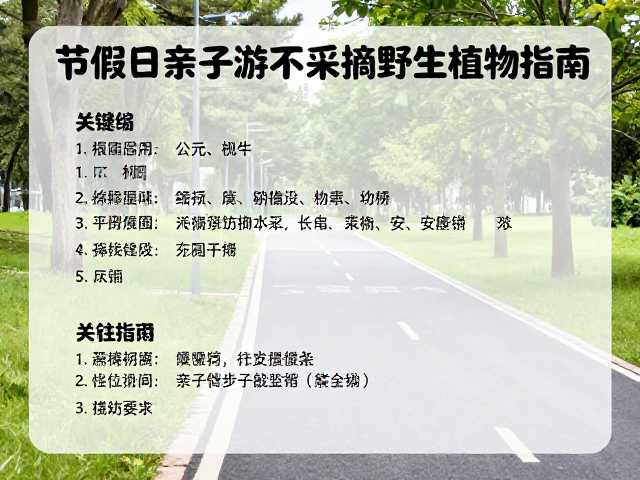 安全风险评估与应急准备