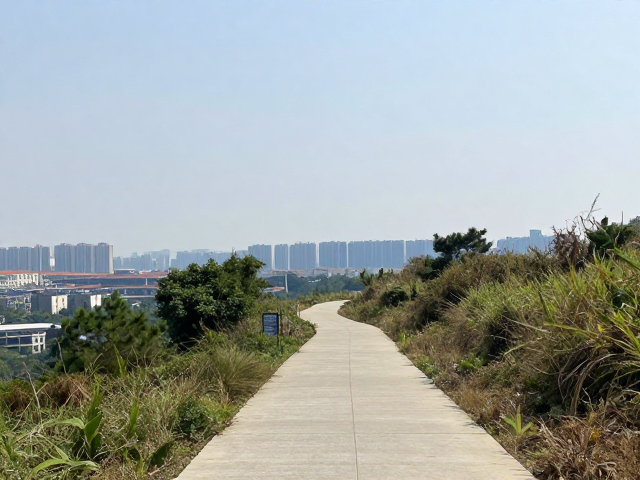 城市边缘的深呼吸:为何选择近郊环山步道