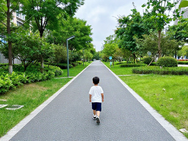 路线规划:安全与趣味并重的行走策略