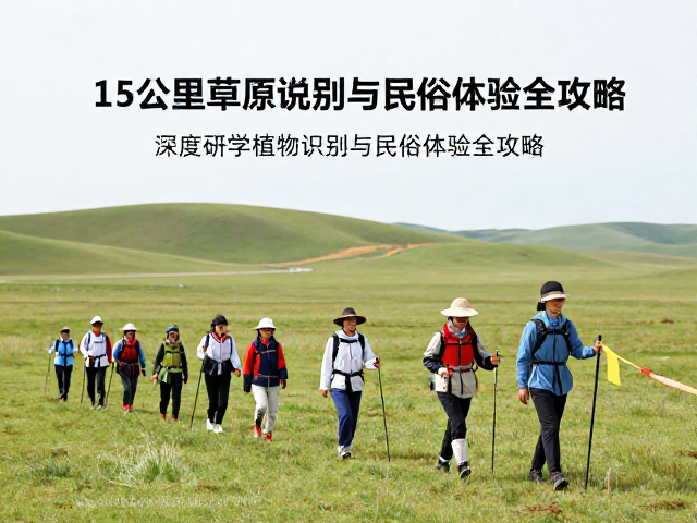 文化寻踪:游牧智慧与民俗体验的真实呈现